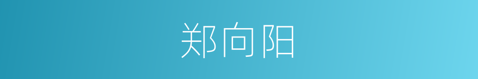 郑向阳的同义词