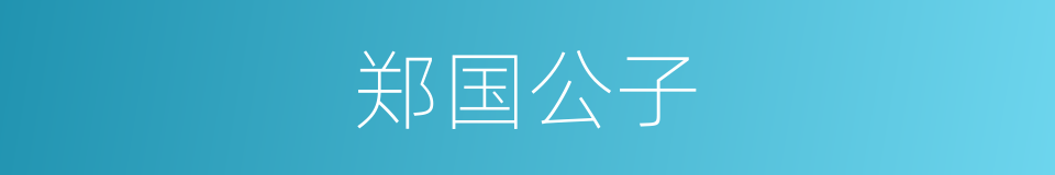 郑国公子的同义词