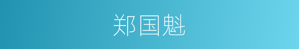 郑国魁的同义词