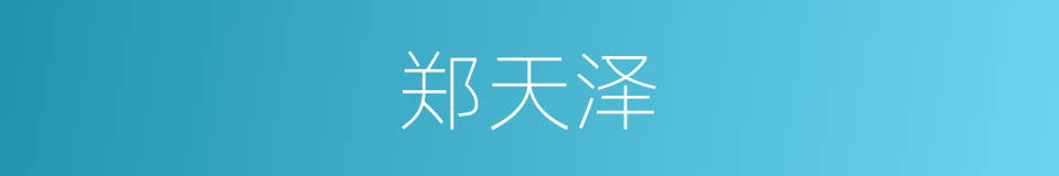 郑天泽的同义词