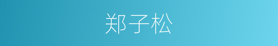 郑子松的同义词