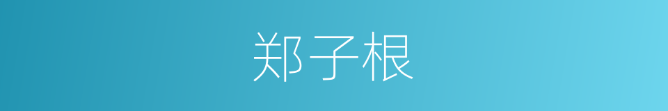 郑子根的同义词