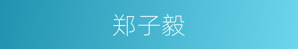 郑子毅的同义词