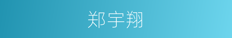 郑宇翔的同义词
