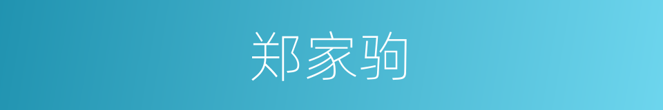 郑家驹的同义词