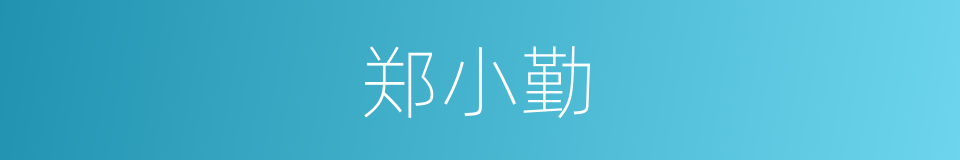 郑小勤的同义词