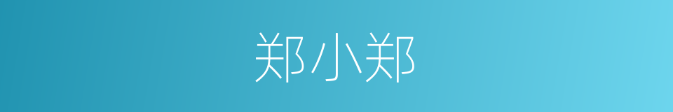 郑小郑的同义词