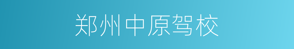 郑州中原驾校的同义词