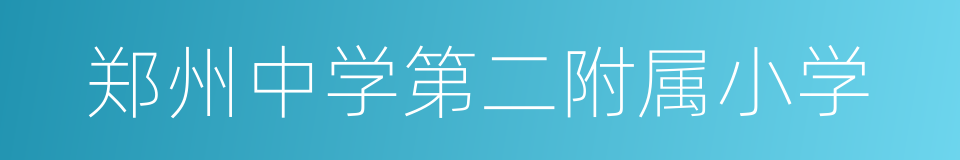 郑州中学第二附属小学的同义词