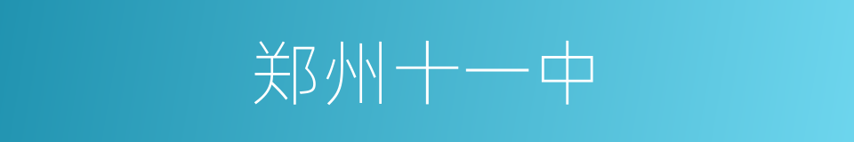 郑州十一中的同义词