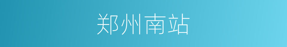 郑州南站的同义词