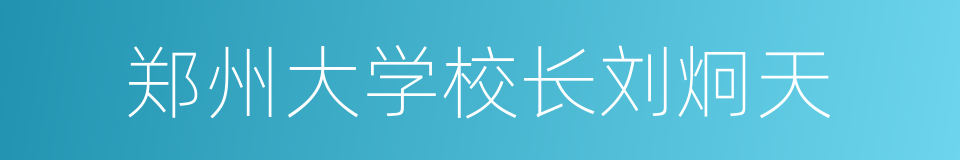 郑州大学校长刘炯天的同义词