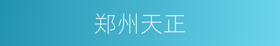 郑州天正的同义词