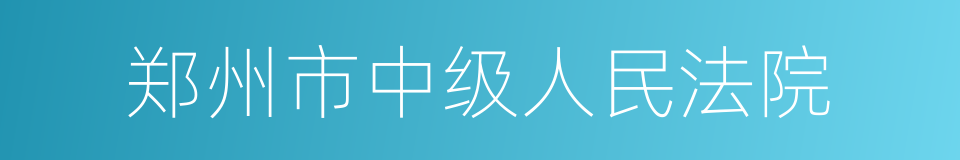 郑州市中级人民法院的同义词