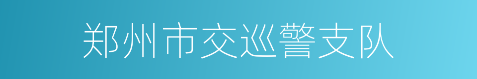 郑州市交巡警支队的同义词