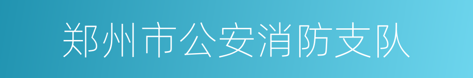 郑州市公安消防支队的同义词