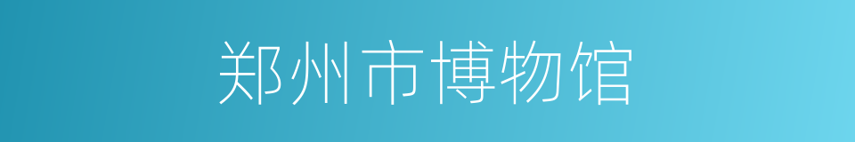 郑州市博物馆的同义词