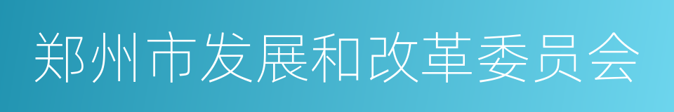 郑州市发展和改革委员会的同义词