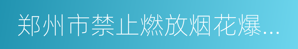 郑州市禁止燃放烟花爆竹规定的同义词