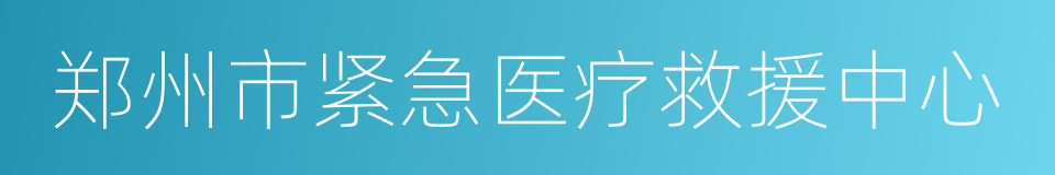 郑州市紧急医疗救援中心的同义词