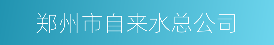 郑州市自来水总公司的同义词