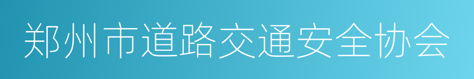 郑州市道路交通安全协会的同义词