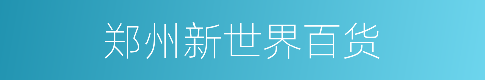 郑州新世界百货的同义词