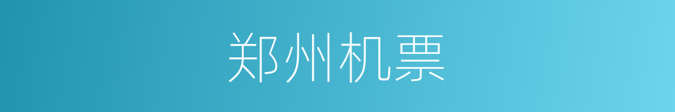 郑州机票的同义词