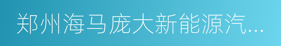 郑州海马庞大新能源汽车租赁有限公司的同义词