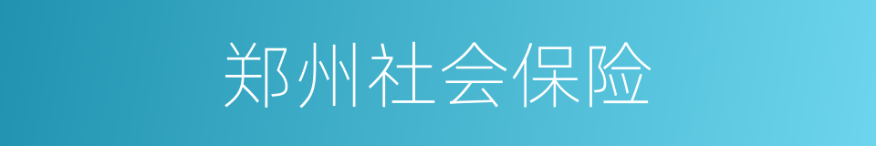 郑州社会保险的同义词