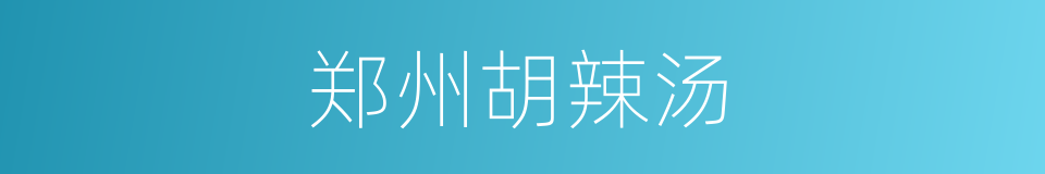 郑州胡辣汤的同义词
