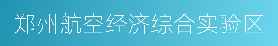 郑州航空经济综合实验区的同义词