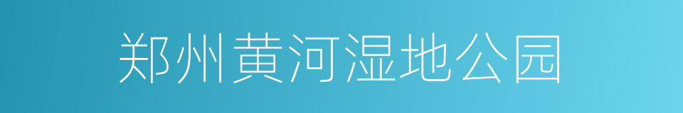 郑州黄河湿地公园的同义词