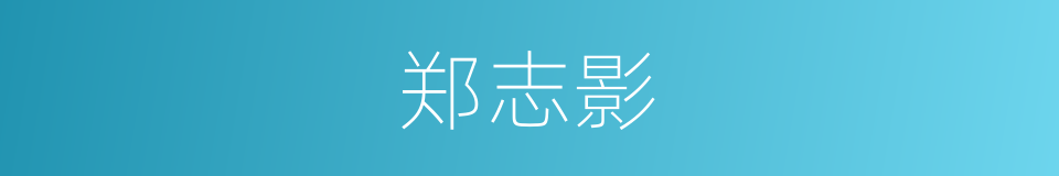郑志影的同义词