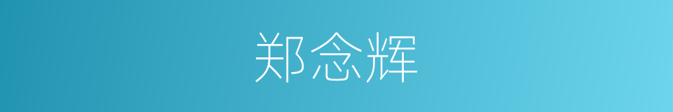 郑念辉的同义词