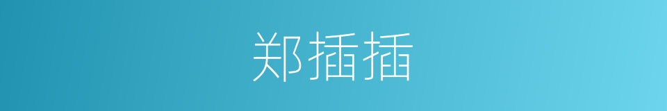 郑插插的同义词