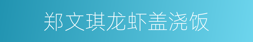 郑文琪龙虾盖浇饭的同义词