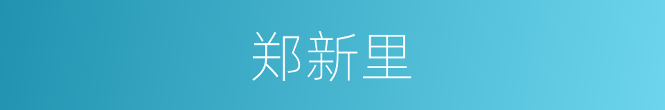 郑新里的同义词