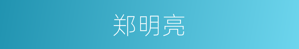 郑明亮的同义词