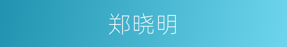 郑晓明的同义词