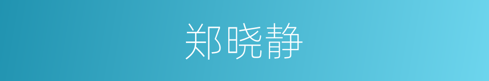 郑晓静的同义词