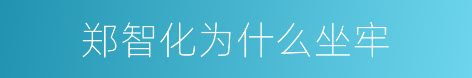 郑智化为什么坐牢的同义词