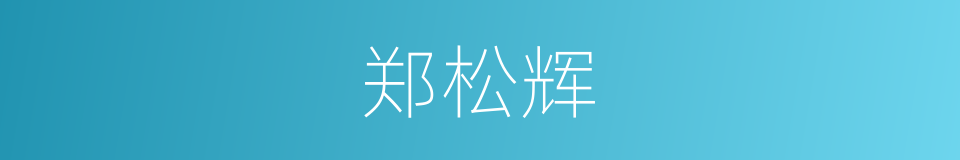 郑松辉的同义词