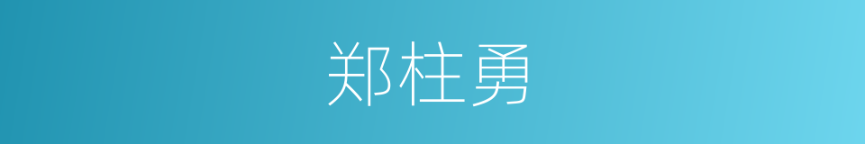 郑柱勇的同义词