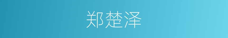 郑楚泽的同义词