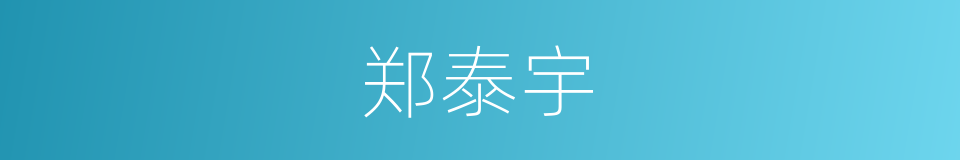 郑泰宇的同义词
