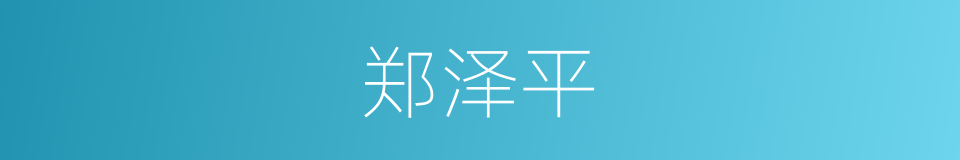 郑泽平的同义词