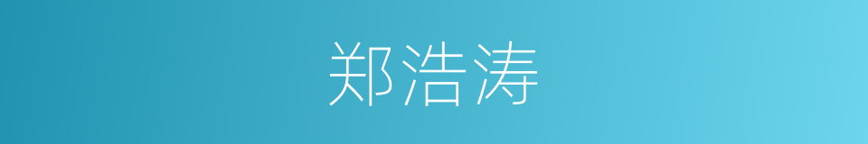 郑浩涛的同义词