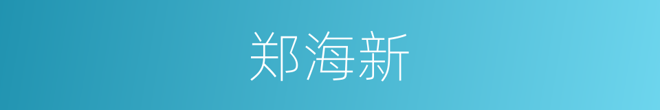 郑海新的同义词
