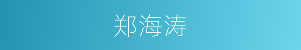 郑海涛的同义词